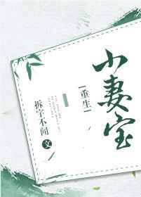 小妻太呆萌小说